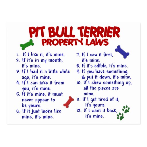 PIT BULL TERRIER Property Laws 2 Postcard