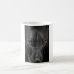 Pit Bull's Eyes (Black and white, colour) Mug