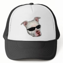 Pitbull baseball cap hat