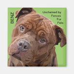 Pitbull "Benz" Fences For Fido Magnet