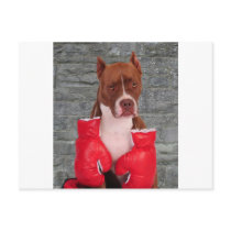 Pitbull Boxer Postcard