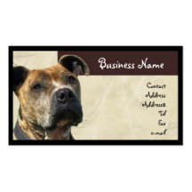 Pitbull Business Card