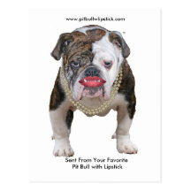 Pitbull de Palin avec la carte postale de rouge à 