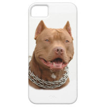 Pitbull dog iPhone 5 covers