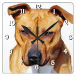 Pitbull dog square clock