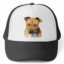 Pitbull hat