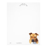 Pitbull letterhead