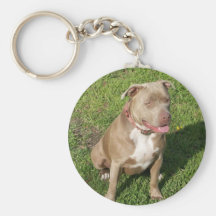 Pitbull paisible porte-clefs