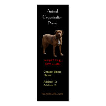 Pitbull Photo Dog Rescue Business Card
