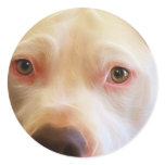 Pitbull Puppy Dog Eyes Art Photography Sticker