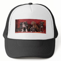 Pitbull puppy heaven mesh hat
