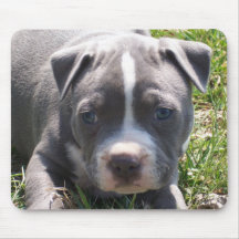 PITBULL PUPPY MOUSEPADS