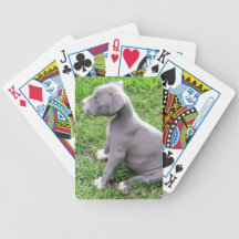 PITBULL PUPPY PLAYING CARDS