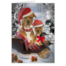 Pitbull "Santa's Sleigh" Cards