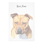 Pitbull stationary stationery