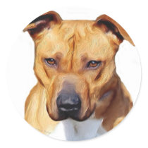 Pitbull stickers