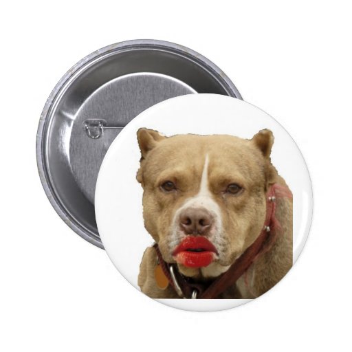 Pitbull Wearing Lipstick Button