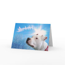 Pitbull White Dog Christmas Wish Card