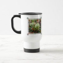 Pitcher Plants Plastic Travel Mug