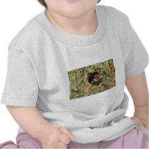 Pivert T-shirts