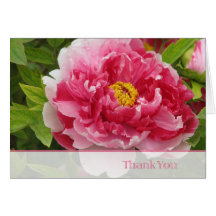 pivoine carte
