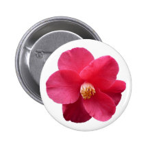 Pivoine d'arbre pin's avec agrafe