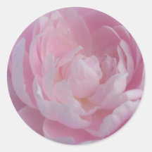 Pivoines rose-clair d'autocollants de mariage de p