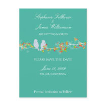 PixDezines love birds/diy background colour! Postcard