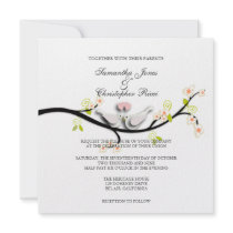 PixDezines love doves/diy background colour