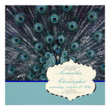 PixDezines Peacock Feather Announcement