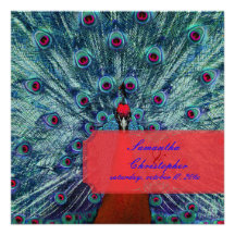PixDezines Peacock Feather Announcement