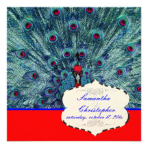 PixDezines Peacock Feather Invites