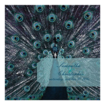 PixDezines Peacock Feather Personalized Invite