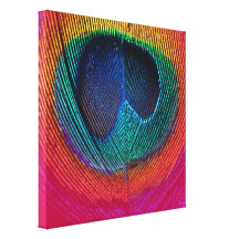 PixDezines Psychedelic Peacock, hot pink, canvas Gallery Wrap Canvas