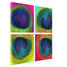 PixDezines Psychedelic Peacock, pop art on canvas Gallery Wrapped Canvas