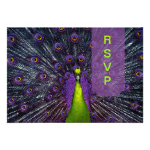 PixDezines rsvp Peacock Feather Personalized Invite