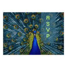 PixDezines rsvp Peacock Feather Invites