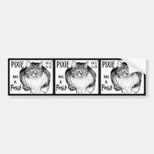 Pixie has a Posse Sticker Set Bumper Stickers