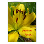 Pixie Lily Mothers Day Card