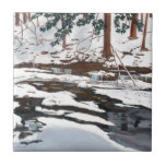 Pixley in Winter Ceramic Tile