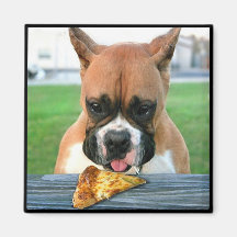 Pizza mangeant l'aimant de boxeur