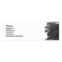 PJ BUSINESS CARDS
