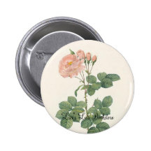 PJ Redoute - Rosa damascena aurora Button