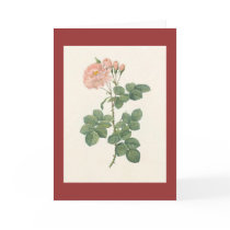 PJ Redoute - Rosa damascena aurora Greeting Card