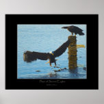 PLACE OF SACRED EAGLES Art Poster