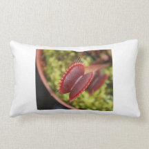Placez votre tête dans le coussin de piège
