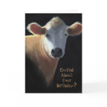 Placid Cow: Excited About Your Birthday? Art Greeting Cards