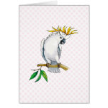 Placido Parrot Greeting Card