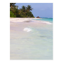 Plage Culebra Porto Rico de flamenco Carte Postale