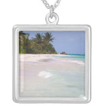 Plage Culebra Porto Rico de flamenco Colliers